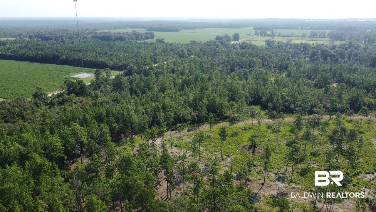 0 Jerkins Loop Atmore, AL 36502 - Photo 47 of 50