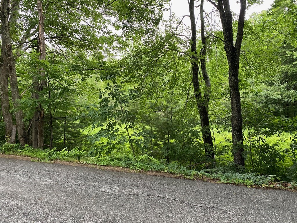 Lot 2 Hunt Road Oakham, MA 01068 - Photo 3 of 6 a backyard of a house with trees