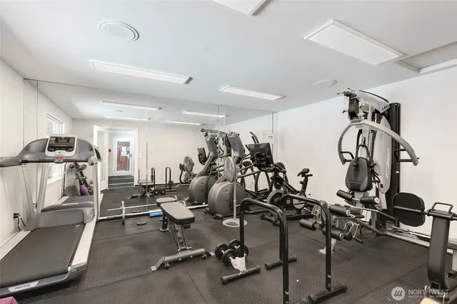 a childrens park with lots of trees and plants