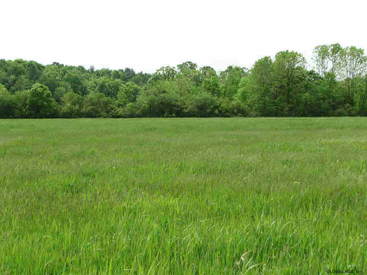 Goodman Road Fort Ann, NY 12827 - Photo 1 of 6 Photo 1