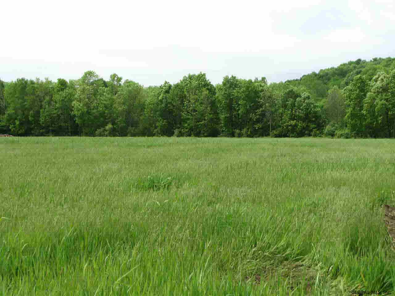 Goodman Road Fort Ann, NY 12827 - Photo 2 of 6 Photo 2