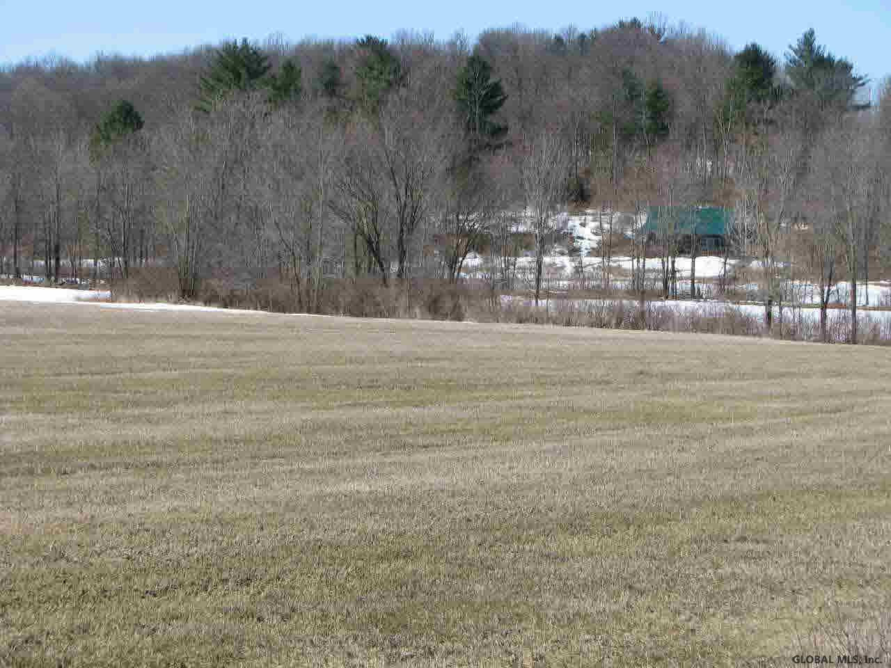 Goodman Road Fort Ann, NY 12827 - Photo 6 of 6 Photo 6