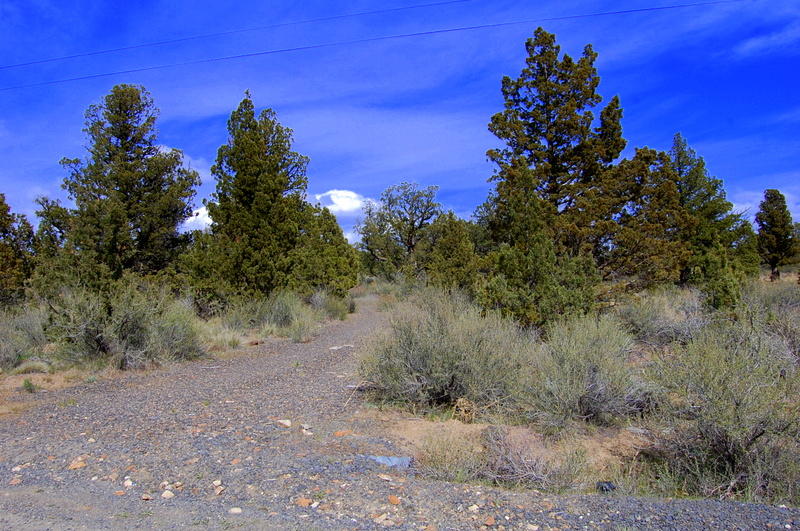 7500 Crow Road Prineville, OR 97754 - Photo 3 of 14 DSC_3601