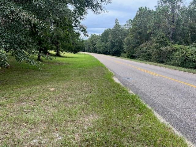 13641 Rockhole Bridge Road Andalusia, AL 36420 - Photo 15 of 28 Gallery Image 15