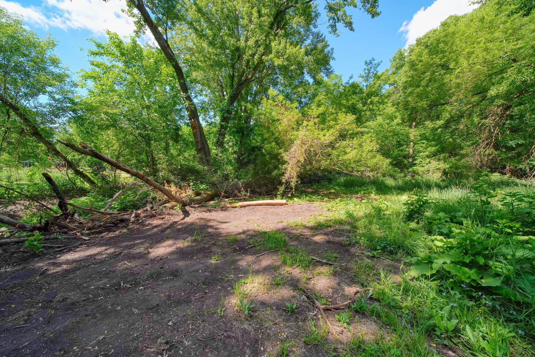 10500 Moscow Road Jonesville, MI 49250 - Photo 51 of 57 82-web-or-mls-DSC06105_HDR