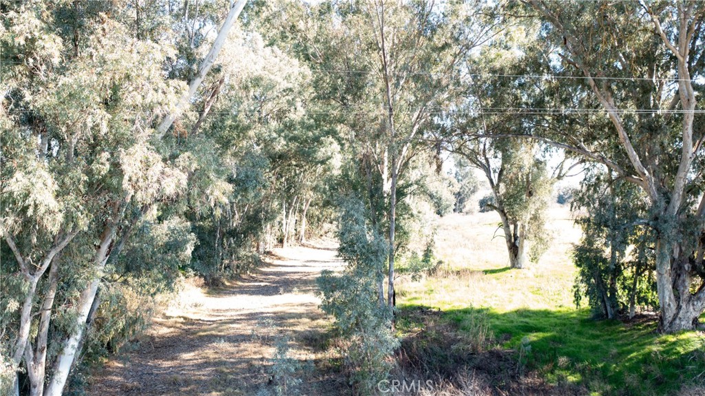 14100 Jordan Road Le Grand, CA 95333 - Photo 35 of 35 a view of outdoor space with trees
