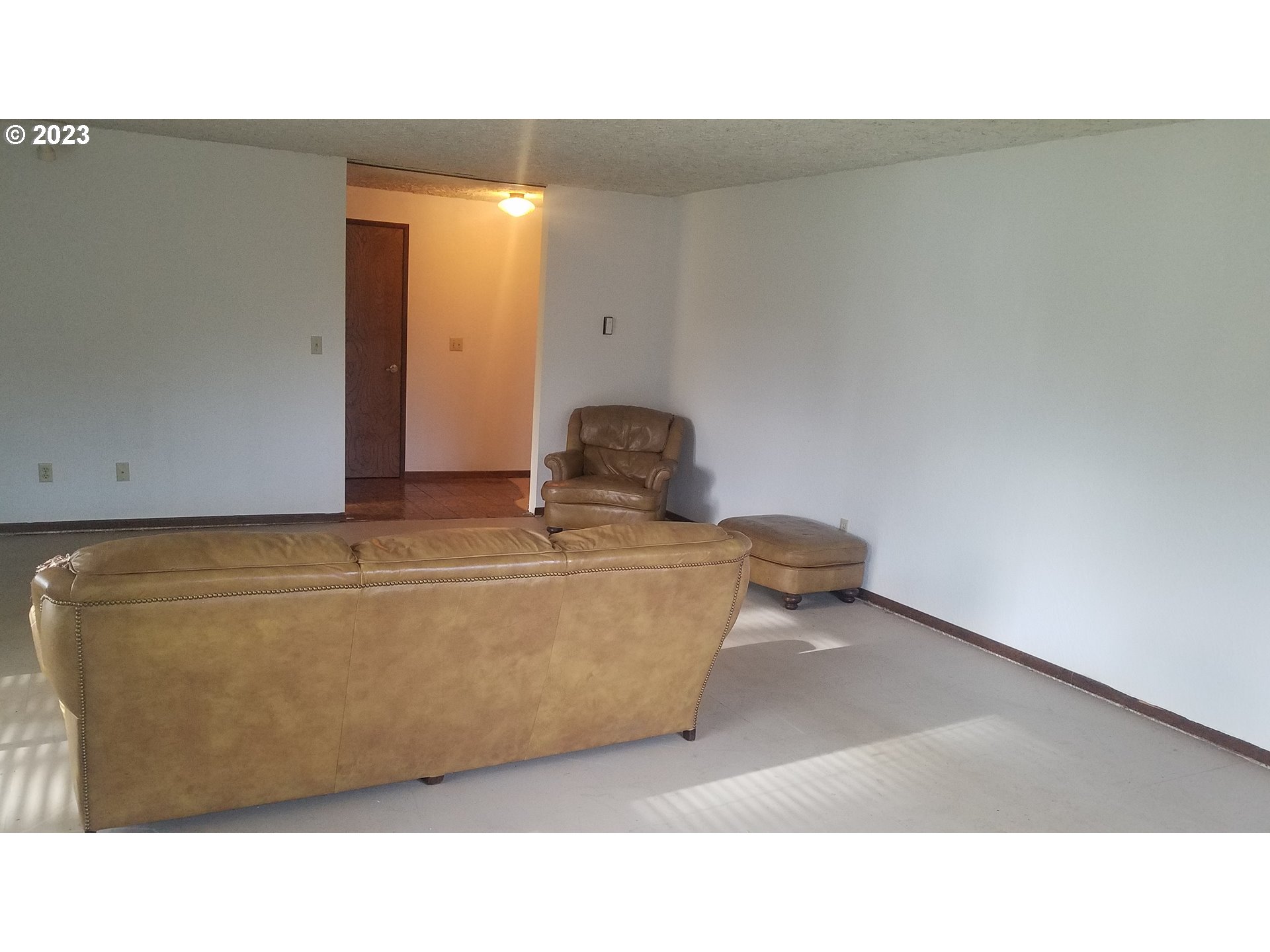 3324 Northeast 162nd Street Ridgefield, WA 98642 - Photo 6 of 37 a living room with a couch and a potted plant