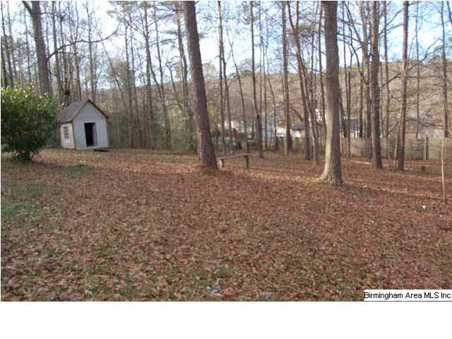 20 Lori Lane Springville, AL 35146 - Photo 3 of 23