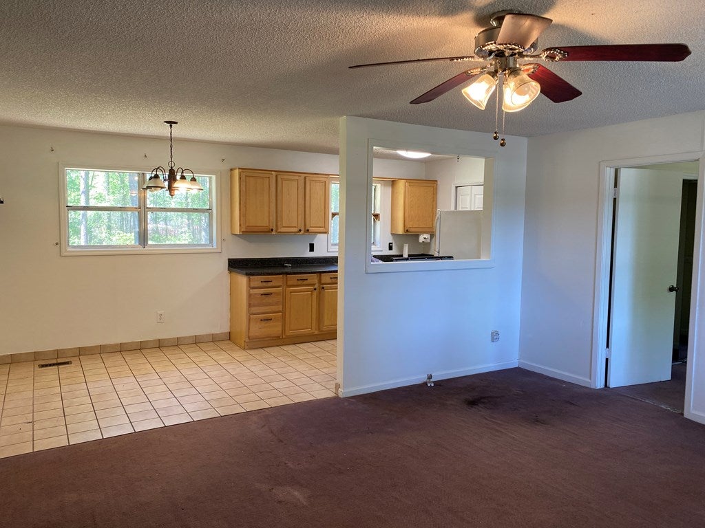 1605 Mussel White Store Road Lenox, GA 31637 - Photo 8 of 24 Gallery Image 8