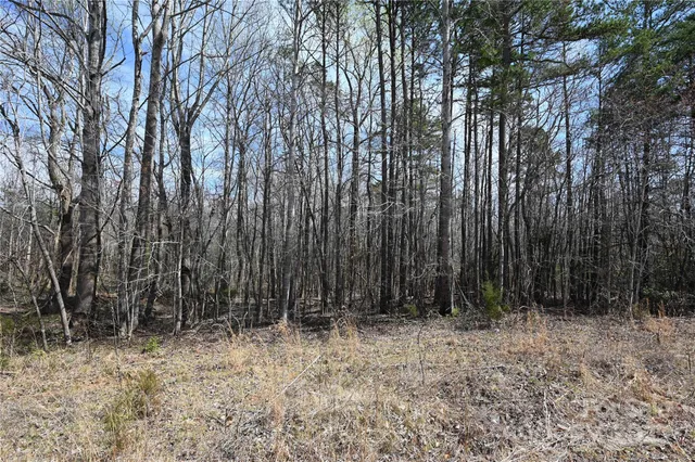 a view of outdoor space with trees