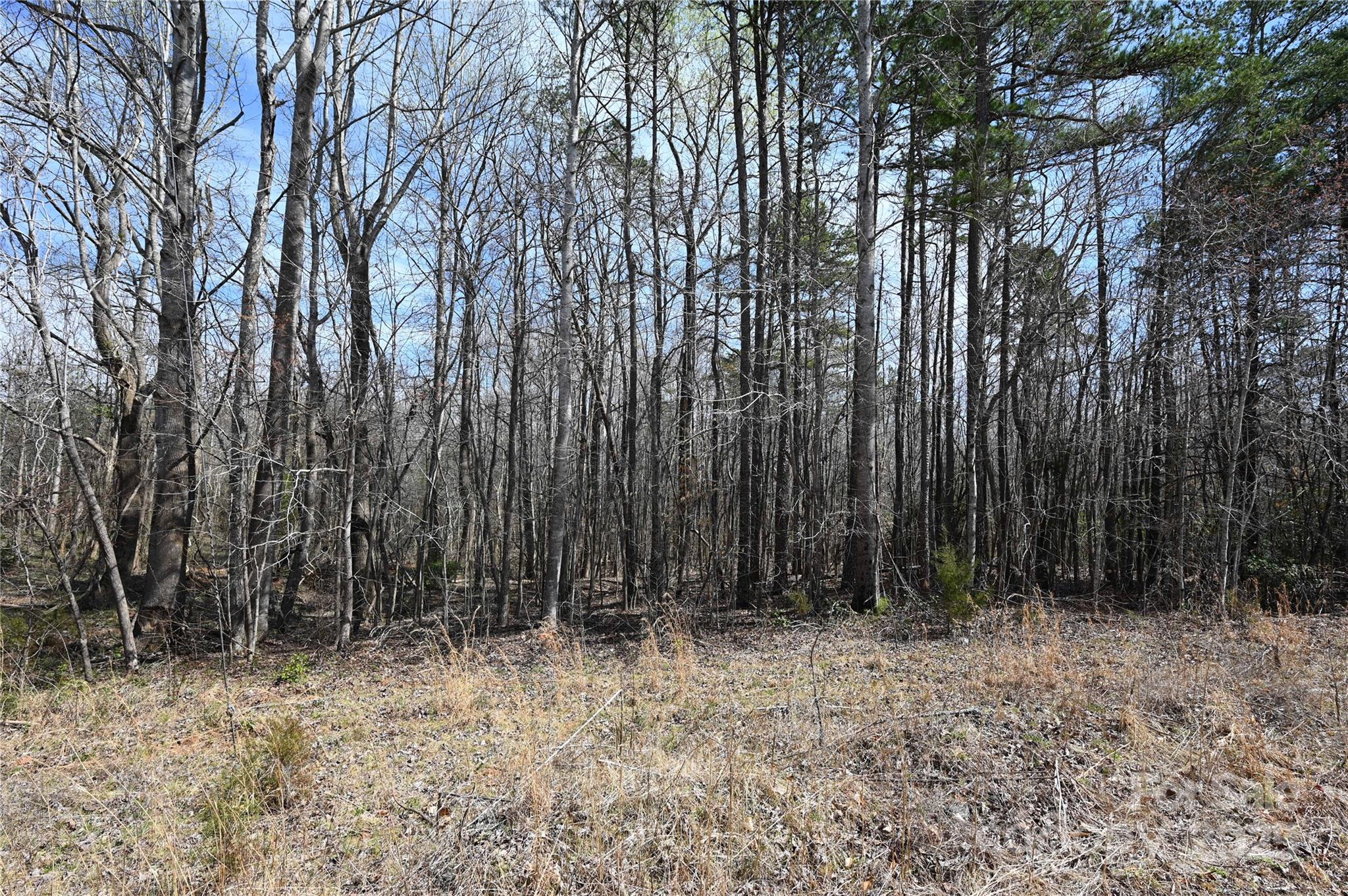 0 East Bells Branch Road, Unit 1 Blacksburg, SC 29702 - Photo 3 of 5 Gallery Image 3