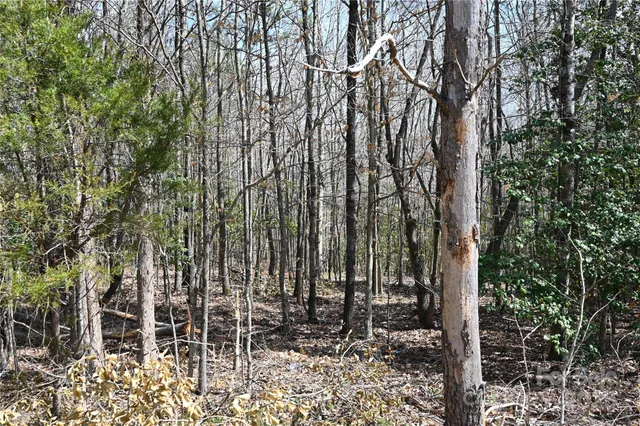 $65,000 | 0 East Bells Branch Road, Unit 1, Blacksburg, SC 29702