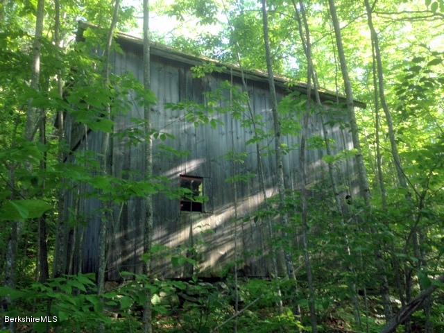 1329 Monterey Road Otis, MA 01253 - Photo 1 of 7 a view of a lake in the forest