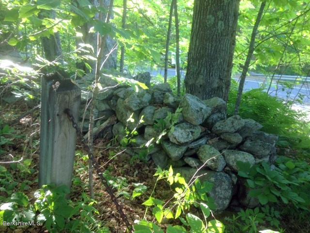 1329 Monterey Road Otis, MA 01253 - Photo 2 of 7 a backyard of a house with lots of green space
