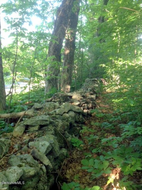 1329 Monterey Road Otis, MA 01253 - Photo 6 of 7 a view of a lush green forest