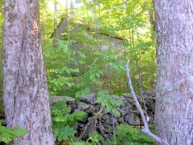 1329 Monterey Road Otis, MA 01253 - Photo 7 of 7 a view of a garden