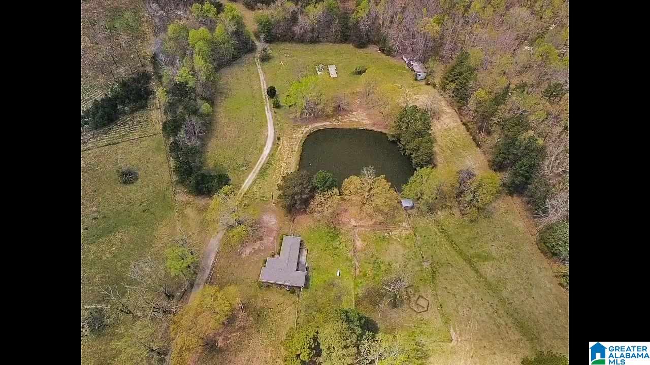 346 Hunters Lane Vandiver, AL 35176 - Photo 6 of 38