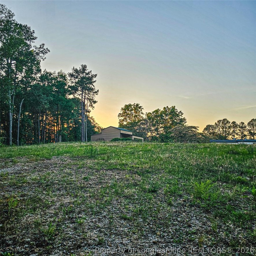 833 Brown Road Lillington, NC 27546 - Photo 6 of 23