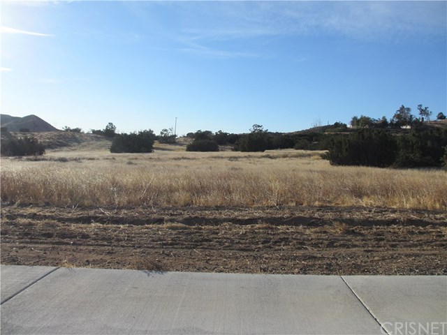 0 Dulce Ranch Road Agua Dulce, CA 91390 - Photo 1 of 3 Gallery Image 1