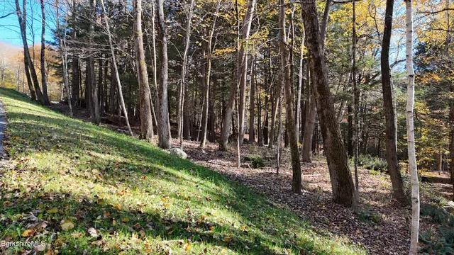 $159,900 | 0 Forest Hill Drive, Hinsdale, MA 01235