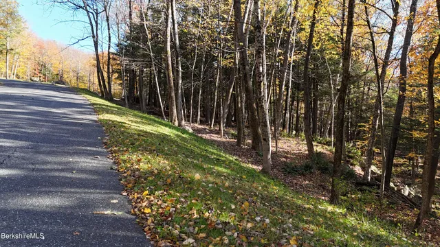 $159,900 | 0 Forest Hill Drive, Hinsdale, MA 01235