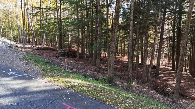 $159,900 | 0 Forest Hill Drive, Hinsdale, MA 01235