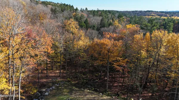 a view of outdoor space with lots of trees
