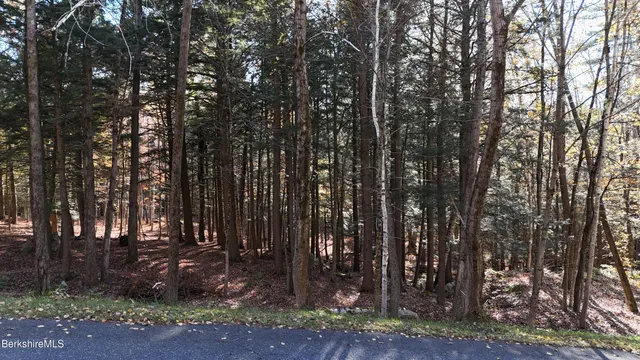$159,900 | 0 Forest Hill Drive, Hinsdale, MA 01235