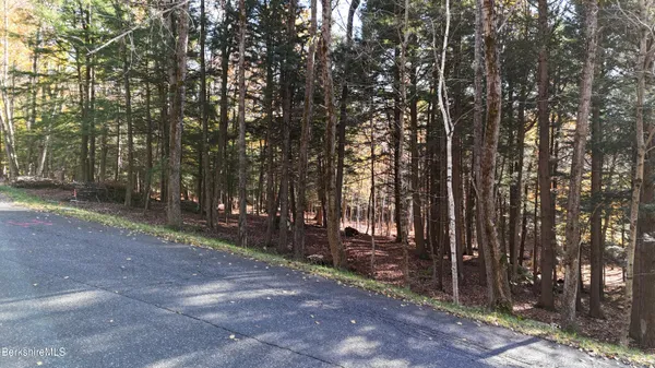 a backyard of a house with trees