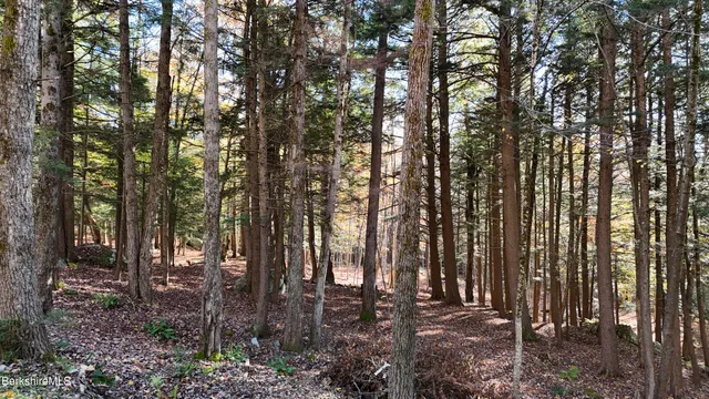 $159,900 | 0 Forest Hill Drive, Hinsdale, MA 01235