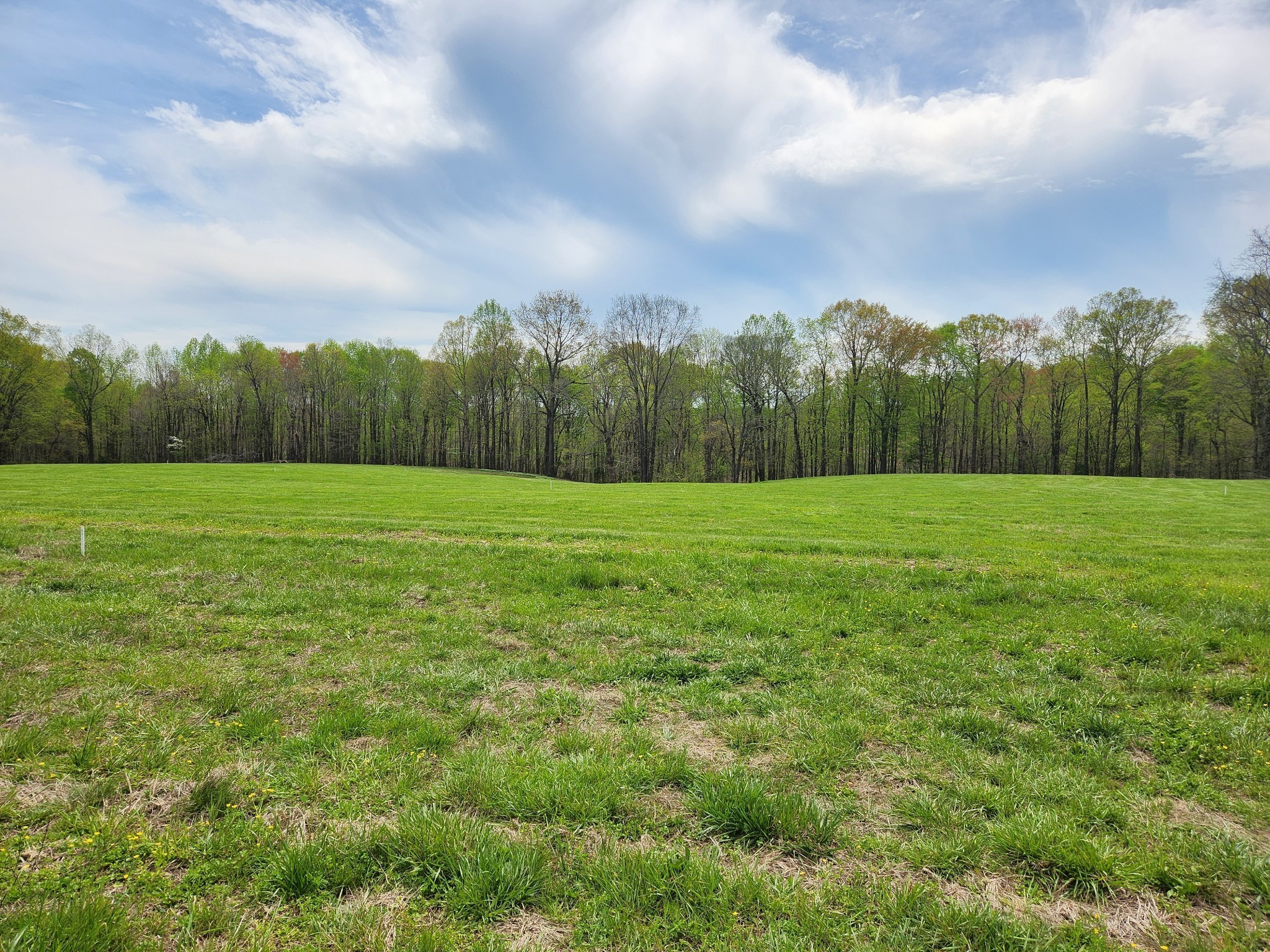 a view of grassy field with trees in the background