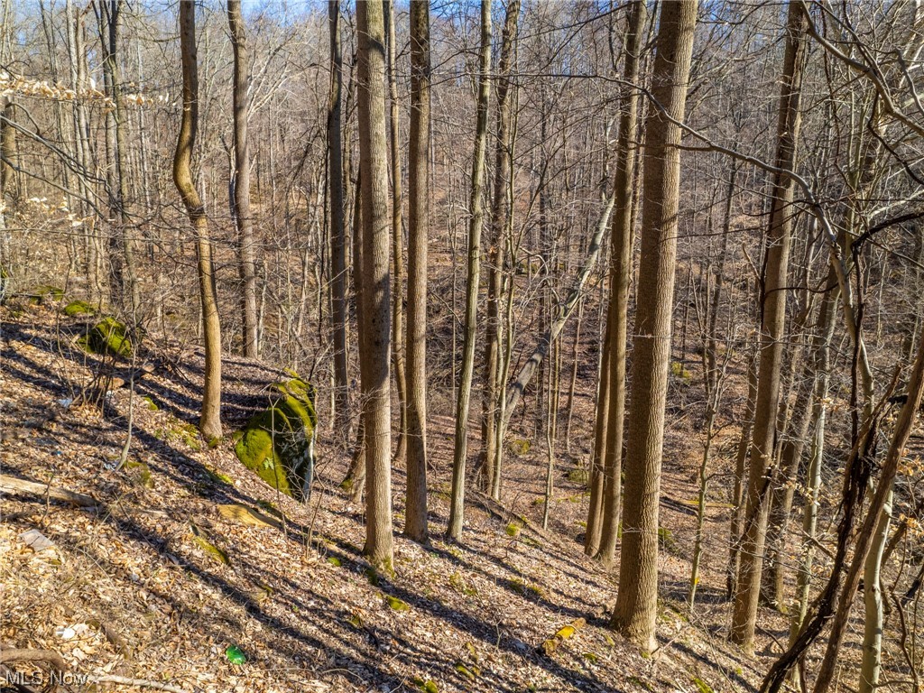 Hill Road Newcomerstown, OH 43832 - Photo 28 of 35 Gallery Image 28