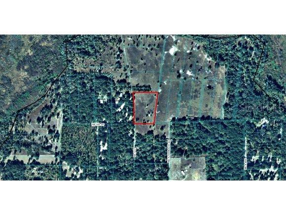 0 Northeast 5th Terrace Road Citra, FL 32113 - Photo 1 of 1 Primary Photo