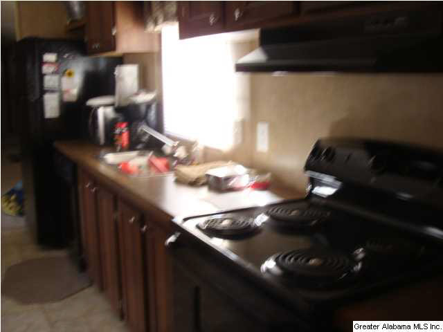 13899 Milldale Road Brookwood, AL 35444 - Photo 10 of 22