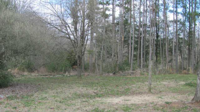 2251 Mansford Road Winchester, TN 37398 - Photo 16 of 18 View of private backyard.