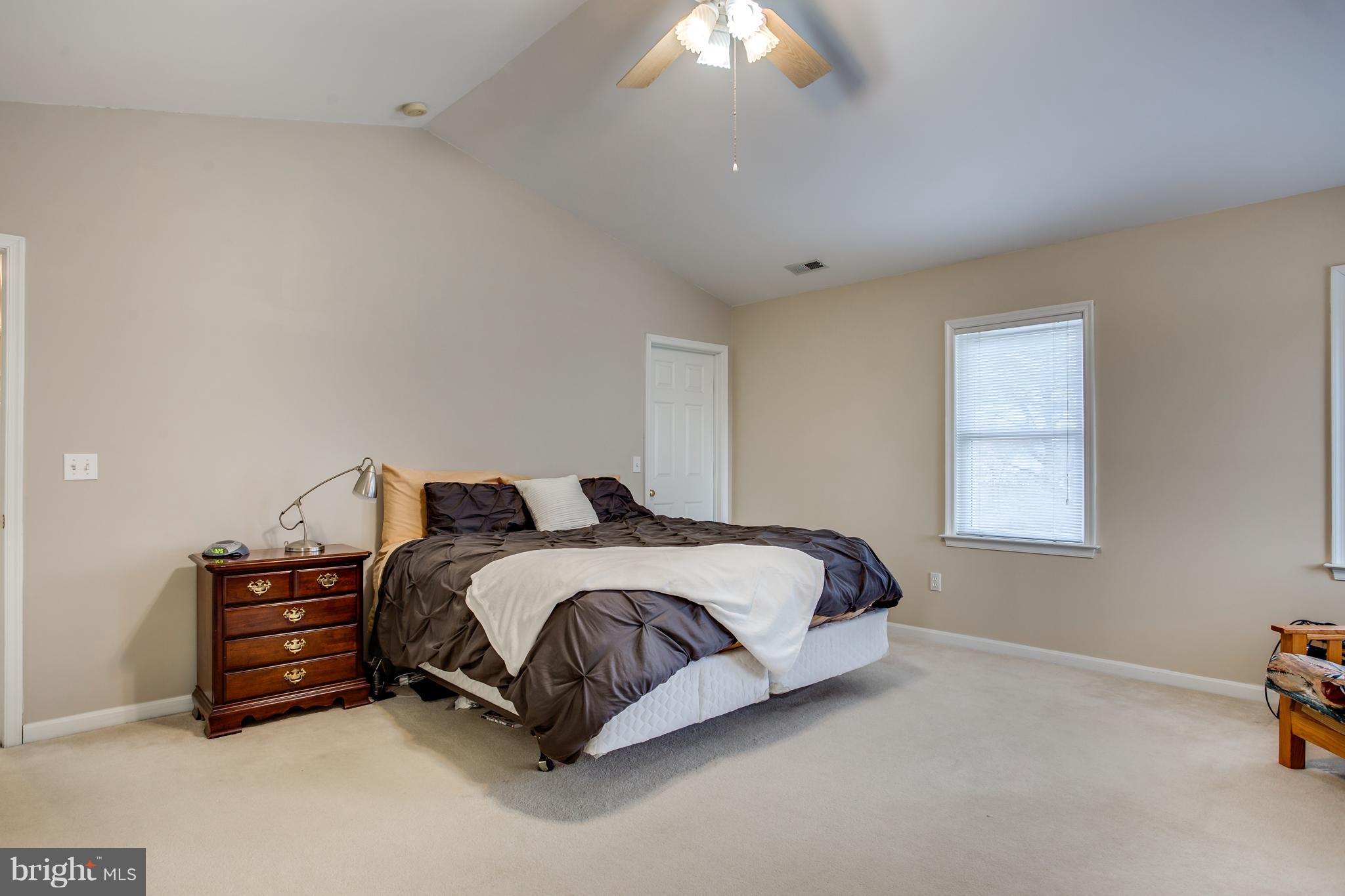 7673 Rogues Road Nokesville, VA 20181 - Photo 15 of 30 Vaulted Ceiling & Walk-In Closet