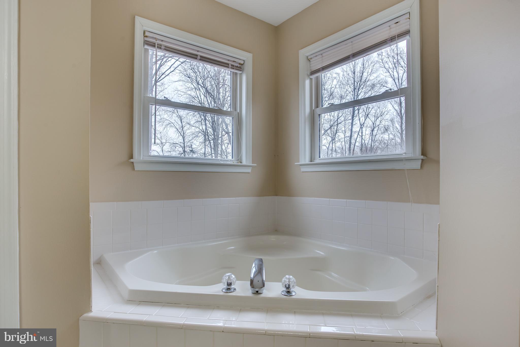 7673 Rogues Road Nokesville, VA 20181 - Photo 17 of 30 Bath (Master)