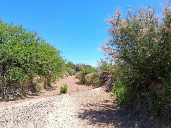 $79,000 | Tbd North Mahan Road, Unit 2, San Simon, AZ 85632