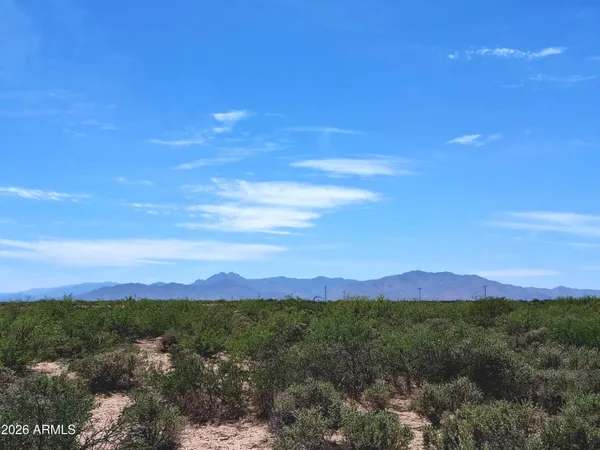 $79,000 | Tbd North Mahan Road, Unit 2, San Simon, AZ 85632