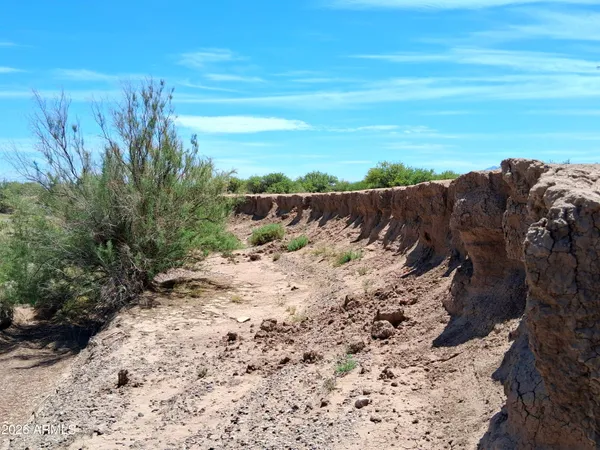 $79,000 | Tbd North Mahan Road, Unit 2, San Simon, AZ 85632
