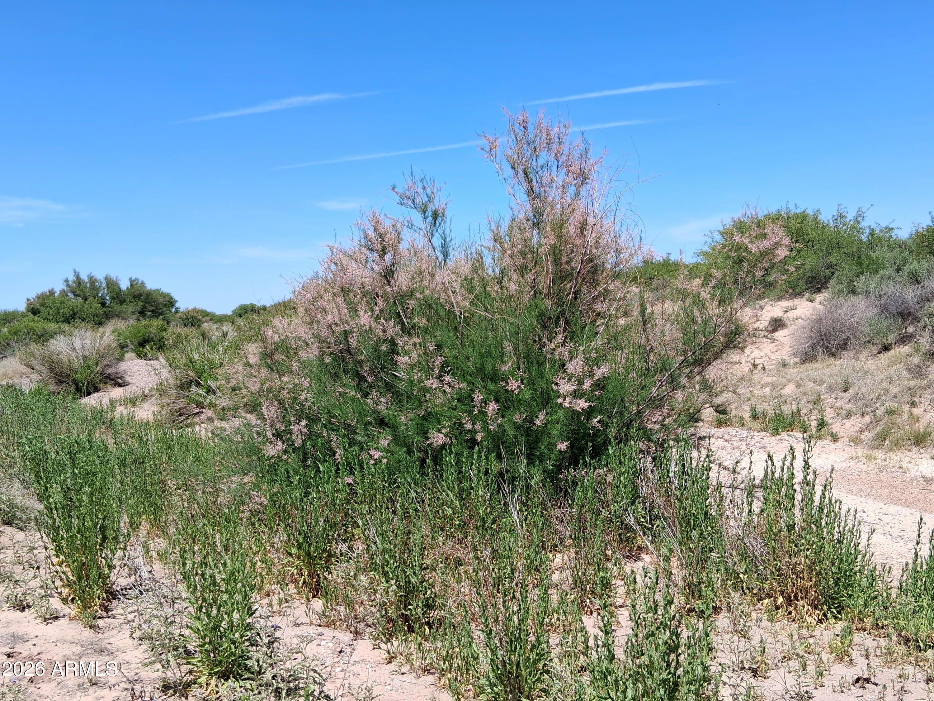 Tbd North Mahan Road, Unit 2 San Simon, AZ 85632 - Photo 23 of 56 20260428_125952