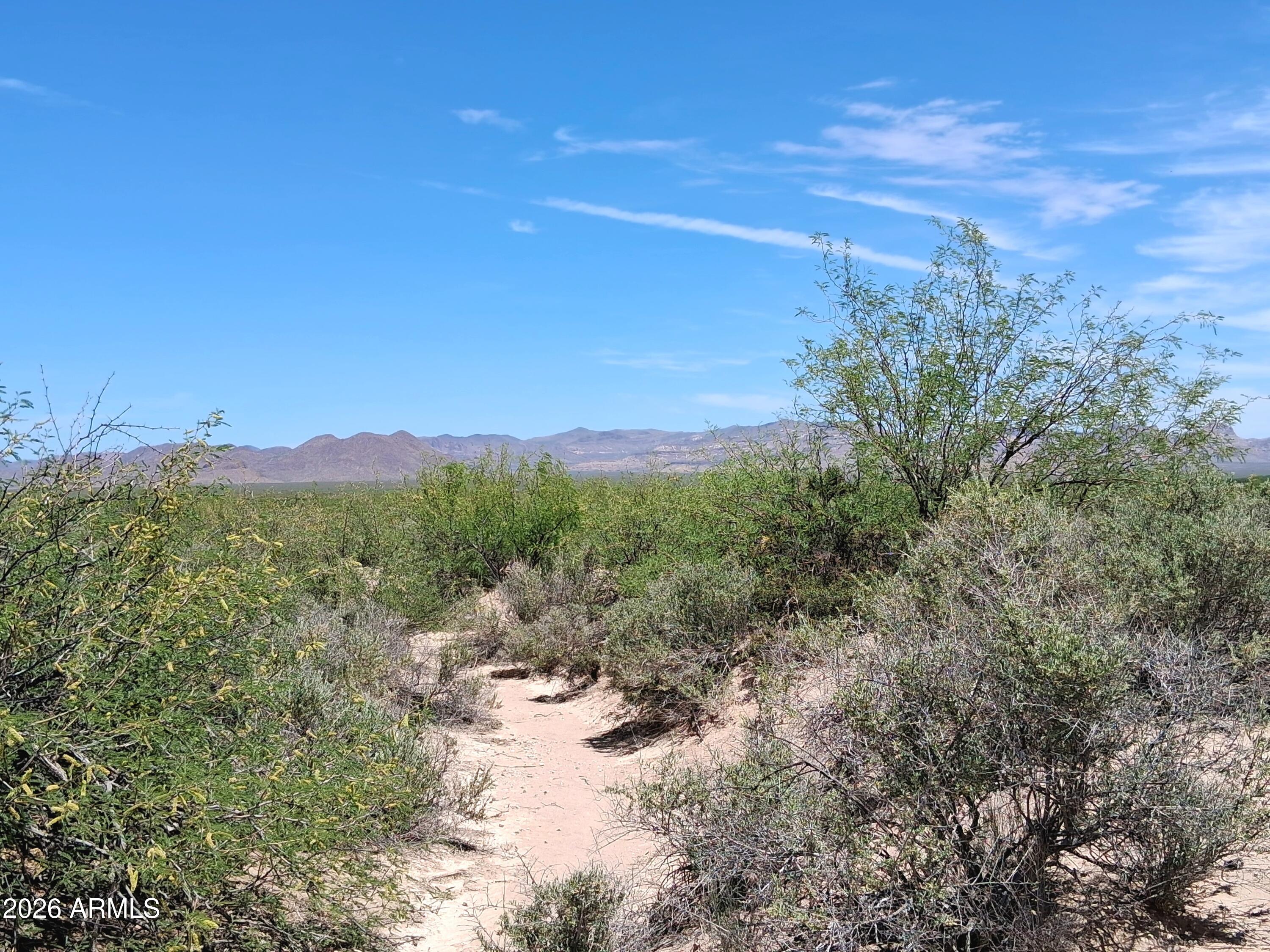 Tbd North Mahan Road, Unit 2 San Simon, AZ 85632 - Photo 35 of 56 20260428_123122