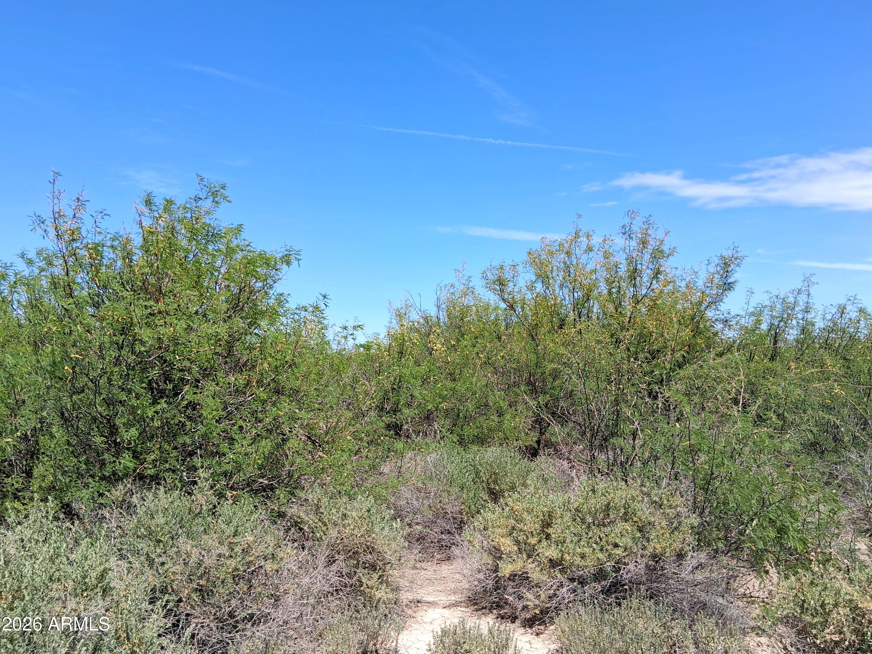 Tbd North Mahan Road, Unit 2 San Simon, AZ 85632 - Photo 36 of 56 20260428_123750