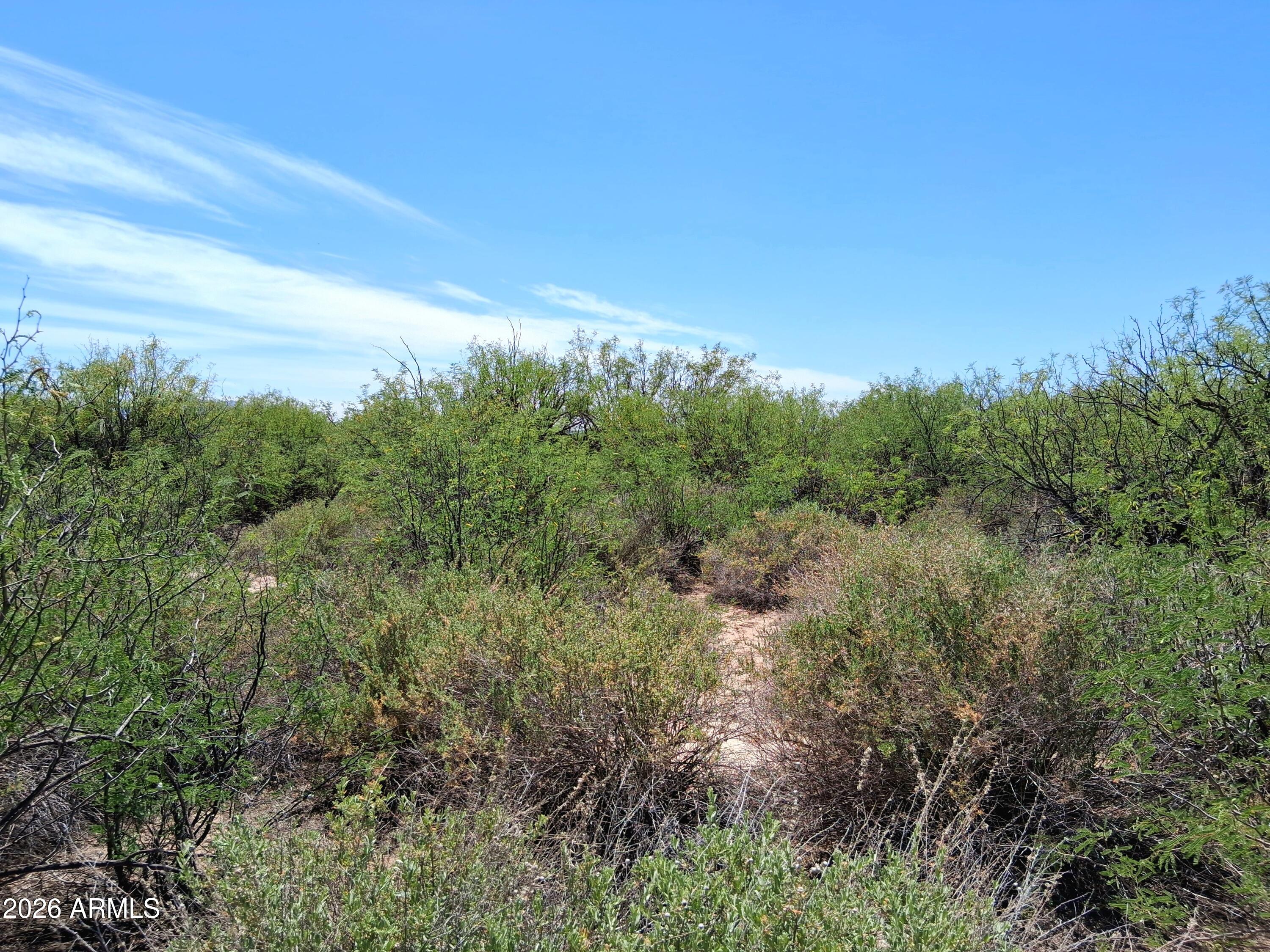 Tbd North Mahan Road, Unit 2 San Simon, AZ 85632 - Photo 41 of 56 20260428_131108