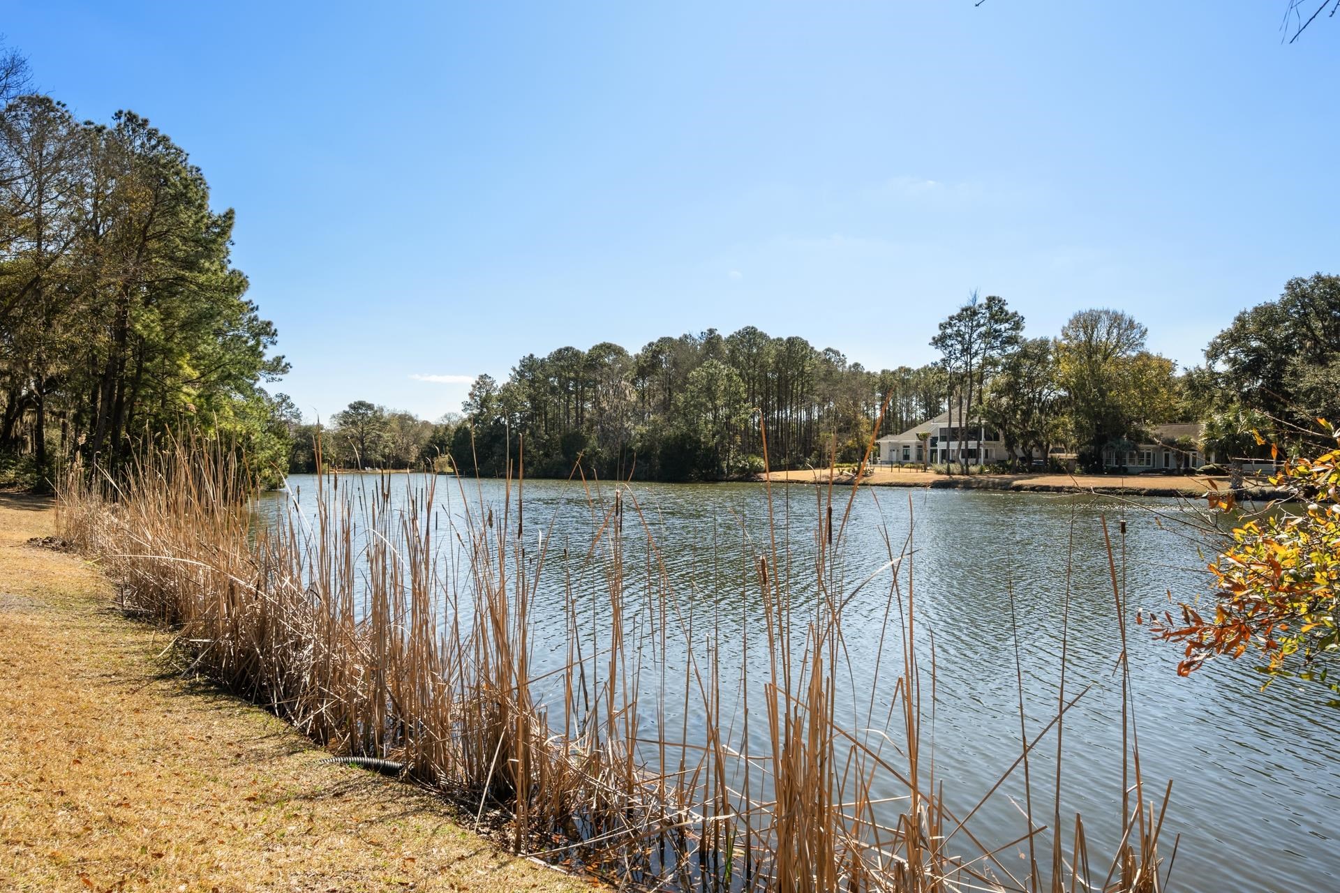 250 Pinckney Lane Georgetown, SC 29440 - Photo 41 of 44 Gallery Image 41