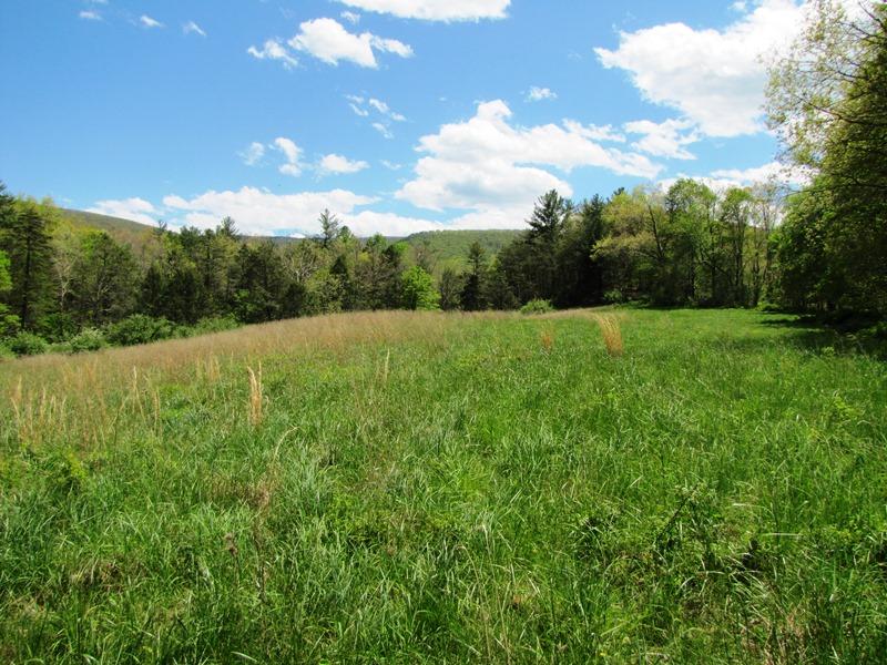 329 Trout Run Road Waiteville, WV 24984 - Photo 90 of 91 Gallery Image 90