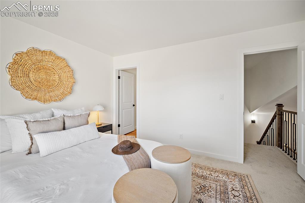 62 Rising Sun Terrace Colorado Springs, CO 80921 - Photo 24 of 46 a living room with furniture and a rug