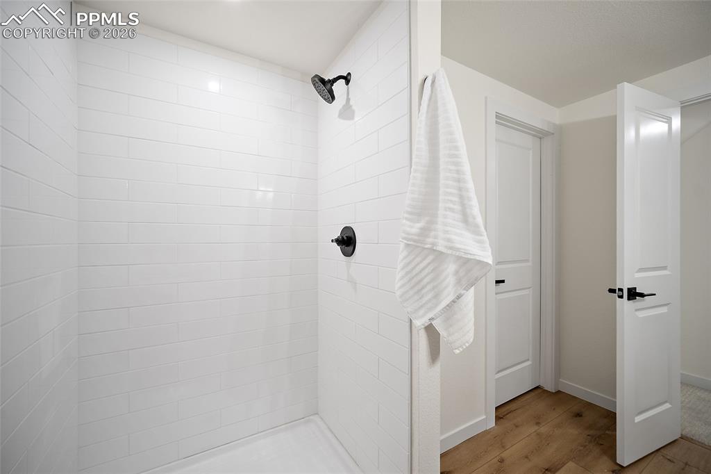 62 Rising Sun Terrace Colorado Springs, CO 80921 - Photo 30 of 46 a bathroom with a shower