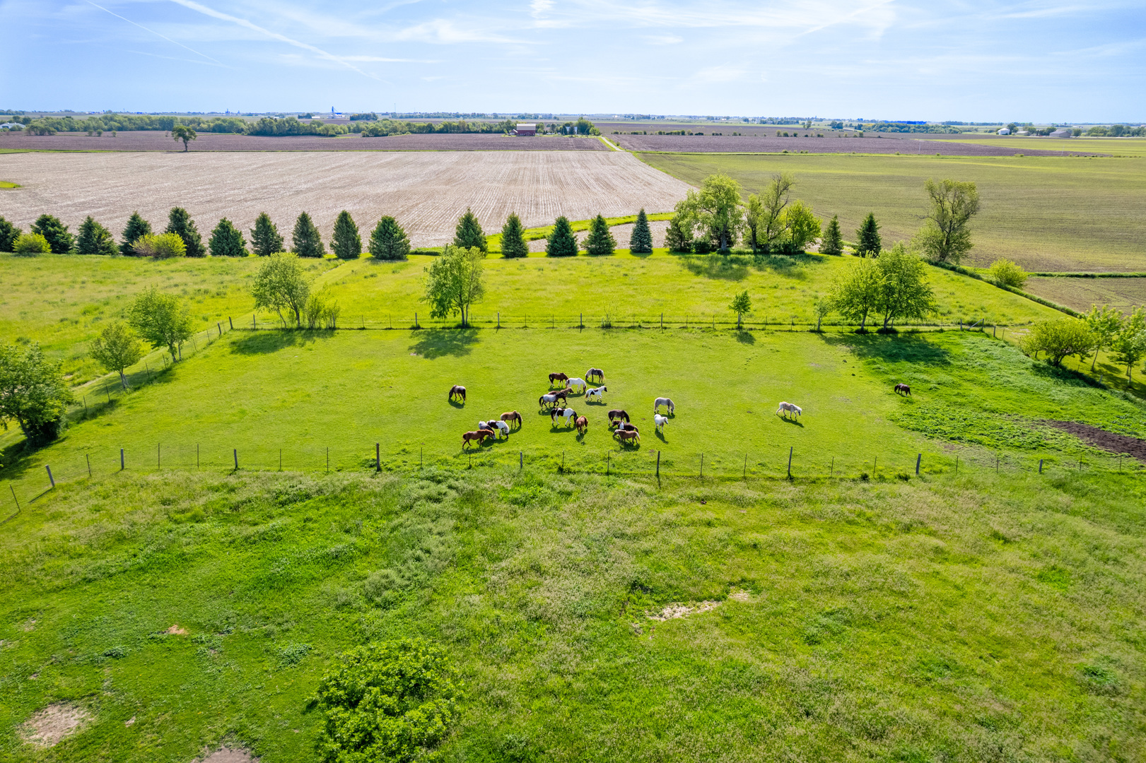 15534 Somonauk Road DeKalb, IL 60115 - Photo 35 of 48 a view of a lake with a big yard
