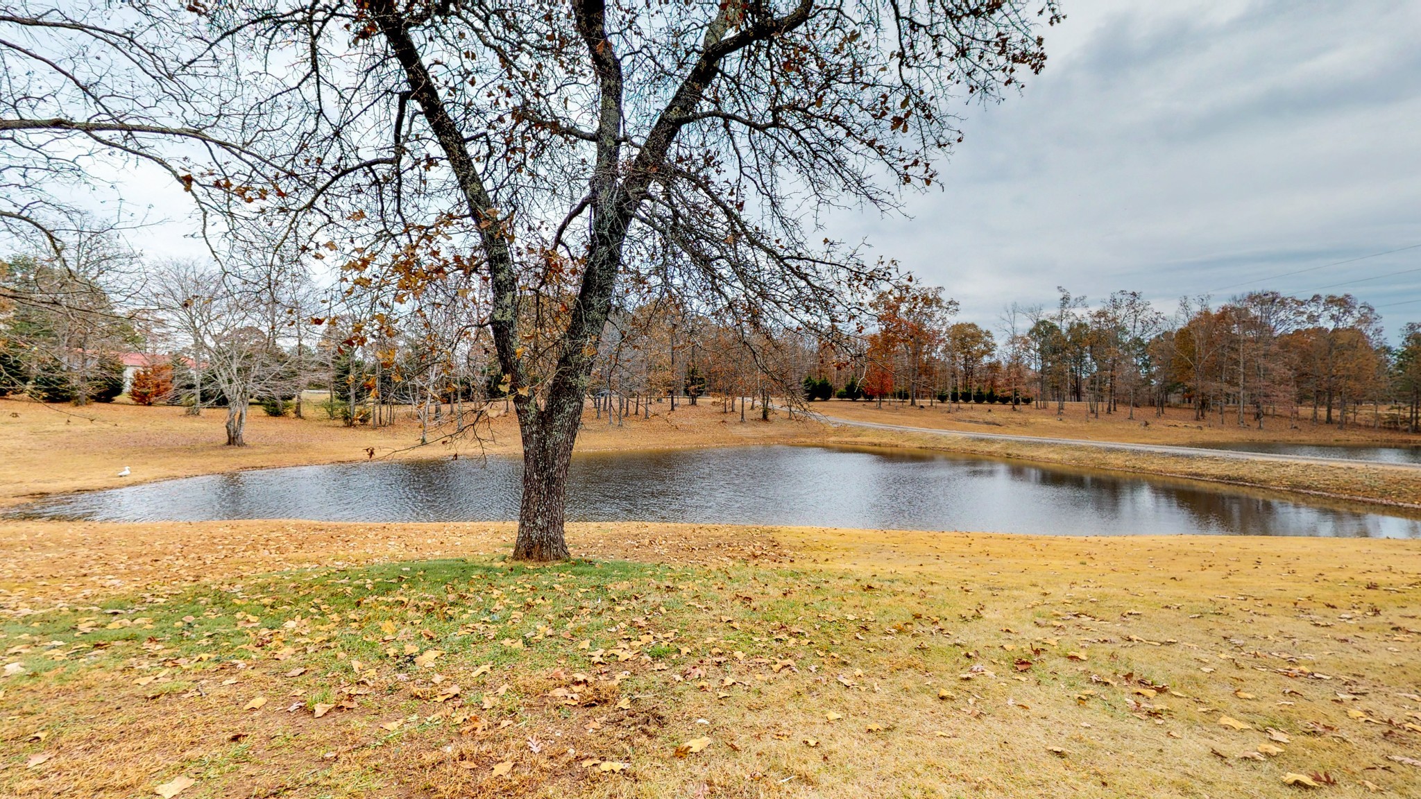 112 Napier Road Hohenwald, TN 38462 - Photo 35 of 49 Gallery Image 35